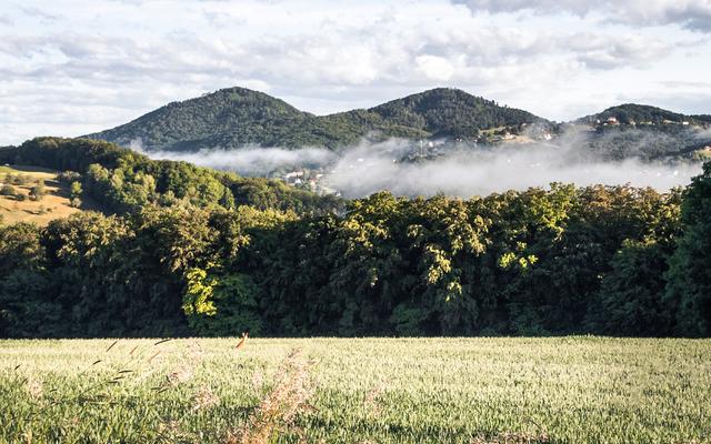 die gleichenberger kogel bei einem wanderurlaub im vulkanlandhotel legenstein entdecken - rund um natur