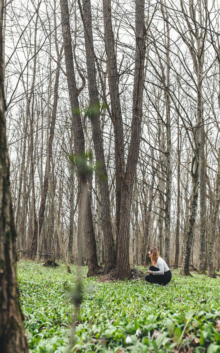 die natur rund um die murauen in bad radkersburg entdecken, bärlauch im frühling pflücken & einen frühlingsurlaub im vulkanlandhotel legenstein in bad gleichenberg genießen