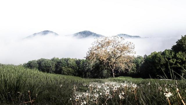 die gleichenberger kogel liegen im spätsommer im dichten nebel während sich die sonne über die hügel der südoststeiermark scheint