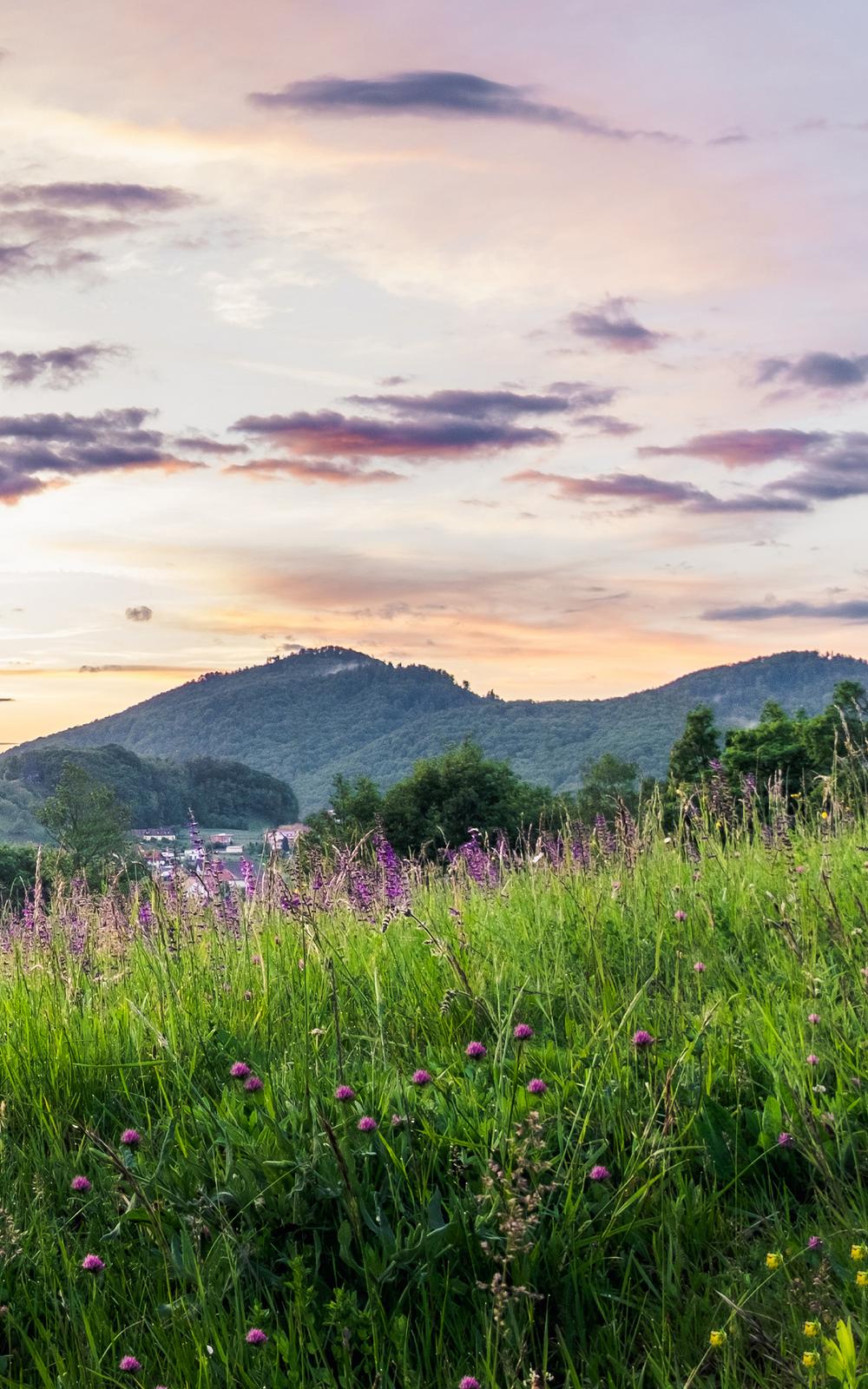 Sommerurlaub in Bad Gleichenberg