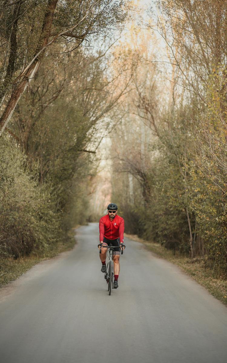 Ein Mann fährt mit seinem Rennrad auf einer Asphaltstraße durch den Wald - Radverleih in Bad Gleichenberg