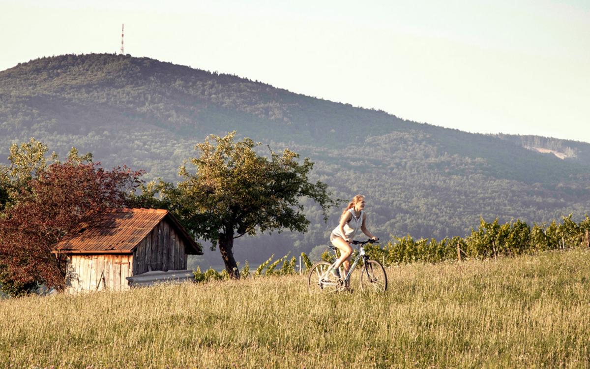 Frau faehrt mit dem Rad über eine Wiese in Bad Gleichenberg in der Region Thermen- und Vulkanland Steiermark, dahinter liegt der Stradner Kogel - Wenn ein Radurlaub wieder zum Genuss wird