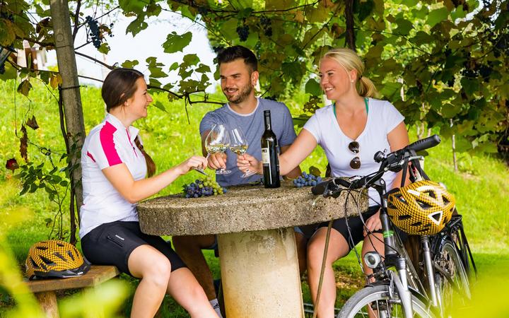 Zwei Frauen und ein Mann sitzen auf einer Bank und stoßen mit einem Glas Wein an. Davor steht das Fahrrad und auf der Bank liegt der Sturzhelm - E-Biken im Vulkanland - Preise Vulkanlandhotel Legenstein