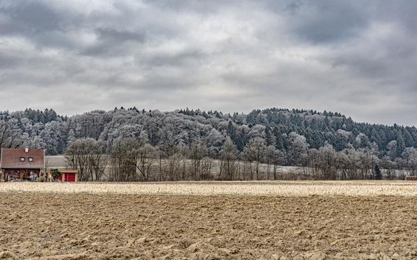 Eintönige Winterlandschaft mit Wald, Acker und Haus - Winterurlaub in Bad Gleichenber