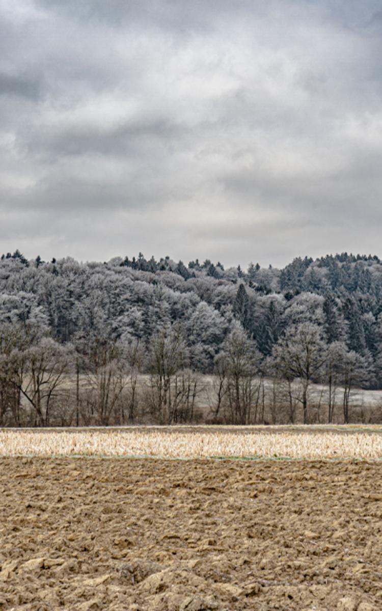 Eintönige Winterlandschaft mit Wald, Acker und Haus - Winterurlaub in Bad Gleichenber