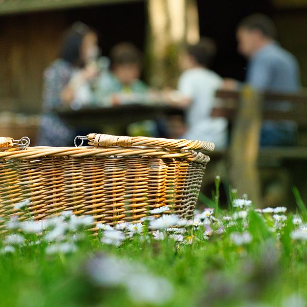 ein picknickkorb steht in einer gänseblümchenwiese dahinter picknicken vier menschen am kapfensteiner kogel auf schloss kapfenstein