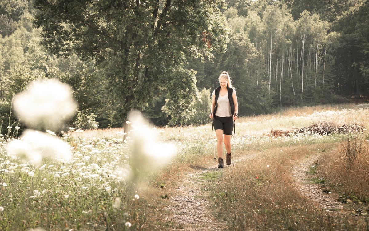 Herbsturlaub in Bad Gleichenberg - Frau geht mit Nordic-Walking-Stöcke am Feldweg vor einem Wald