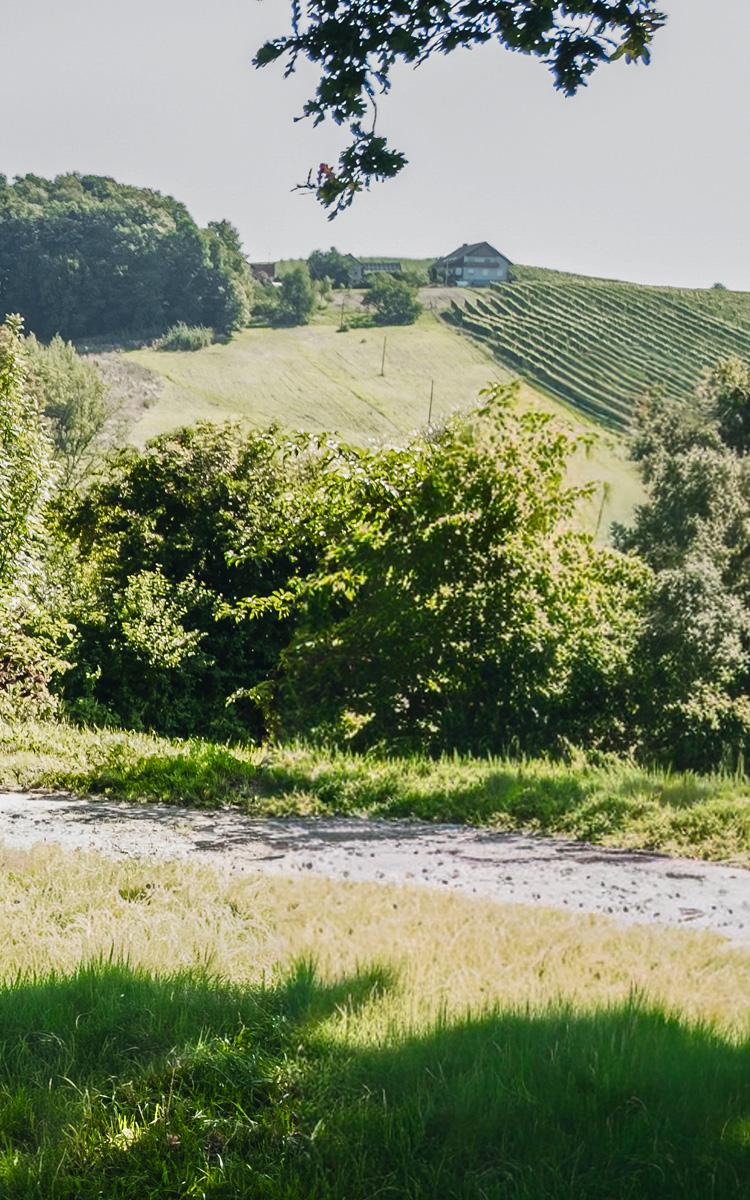 den frühling am tau-weg der riede genießen und wanderurlaub im vulkanlandhotel legenstein im thermen- und vulkanland steiermark erleben