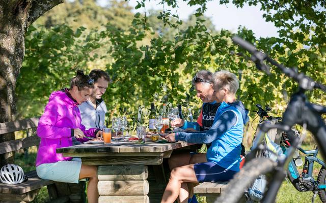eine radpartie sitzt unter einem schattigen baum und genießt die jause beim radurlaub im vulkanlandhotel legenstein in bad gleichenberg