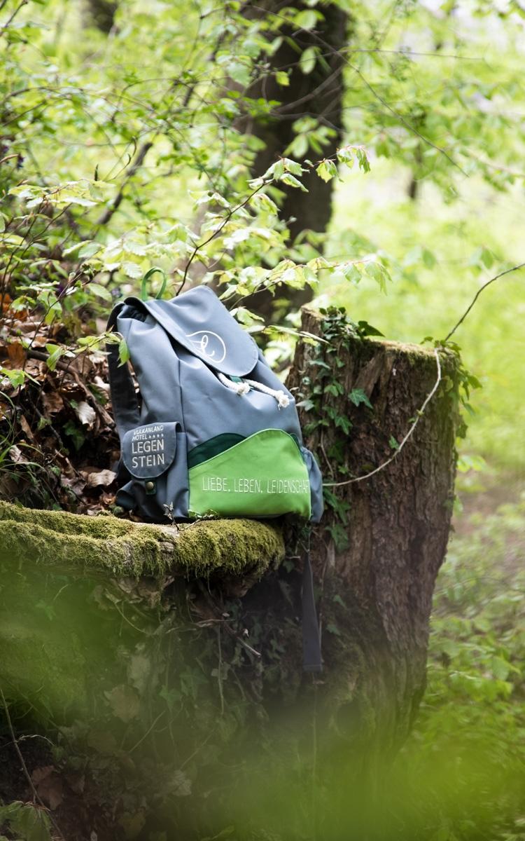 Ein handgenähter Rucksack liegt auf einem Baumstamm im Wald - Kulinarik, Wandern und Wein - Ein südoststeirischer Genuss