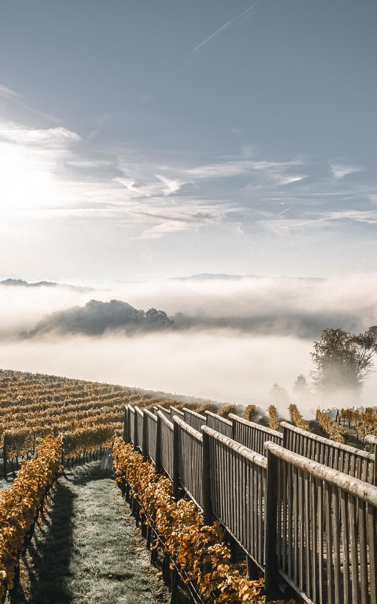am weinweg der sinne den goldenen herbst genießen und einen urlaub im vulkanlandhotel legenstein in bad gleichenberg verbringen