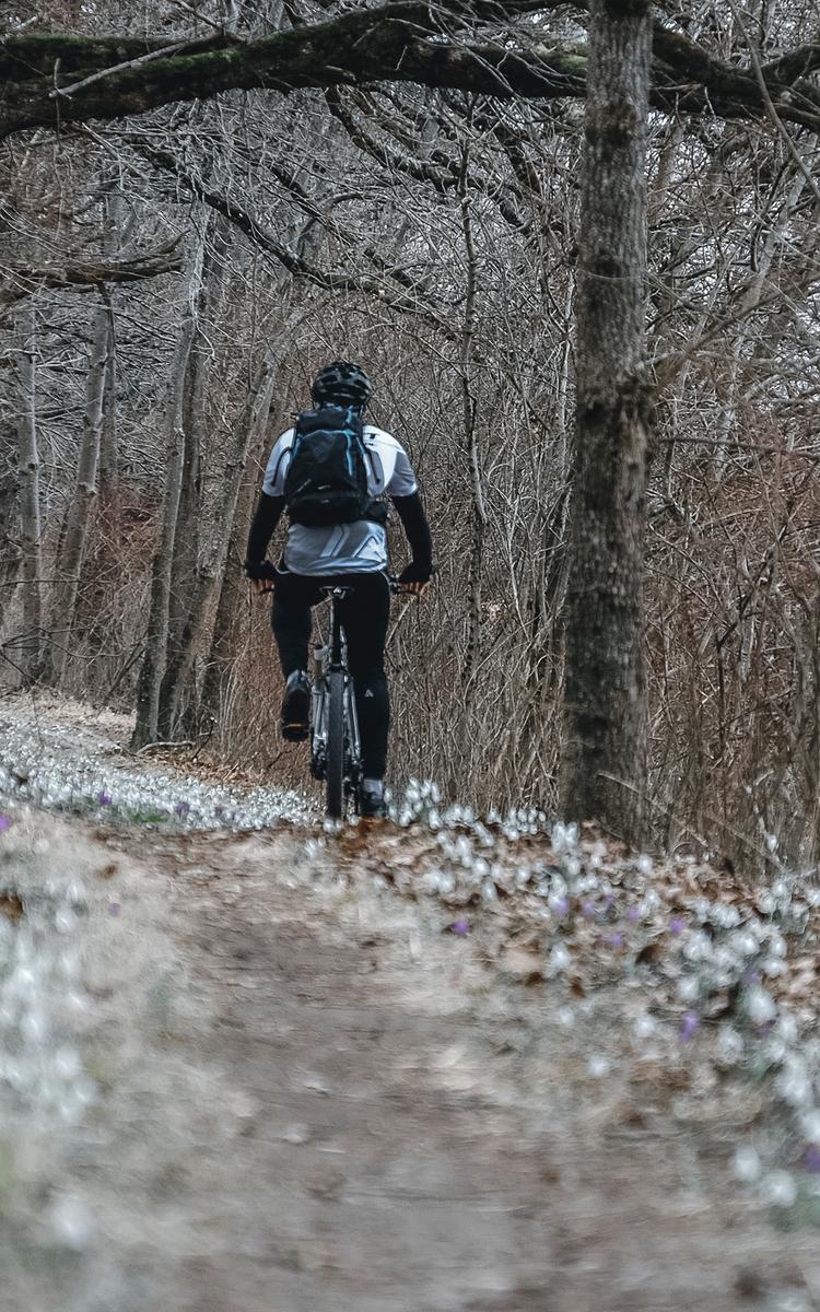 ein radfahrer fährt auf der r45 die mur in bad radkersburg beim radurlaub im vulkanlandhotel legenstein in bad gleichenberg entlang